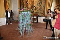 VBS_0185 - Corollaria Flower Exhibition 2022